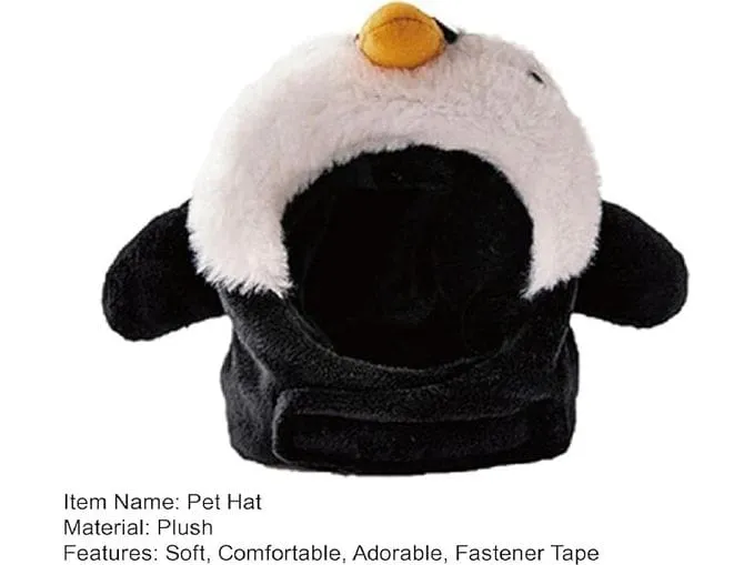 Cat Hat Penguin Pets Qatar