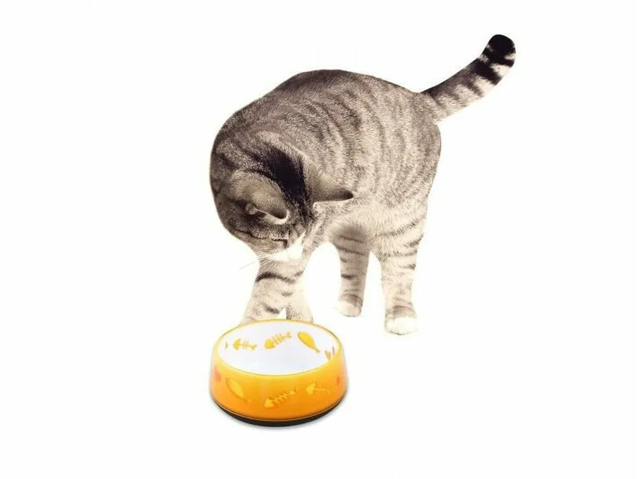 Cat Love Bowl - Orange Pets Qatar