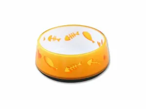Cat Love Bowl - Orange Pets Qatar