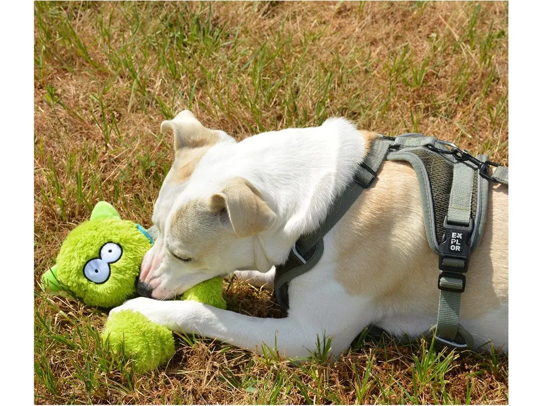 Coockoo Alvin dog toy 23x9x9cm mixed colors Pets Qatar