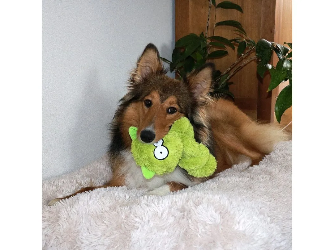 Coockoo Alvin dog toy 23x9x9cm mixed colors Pets Qatar