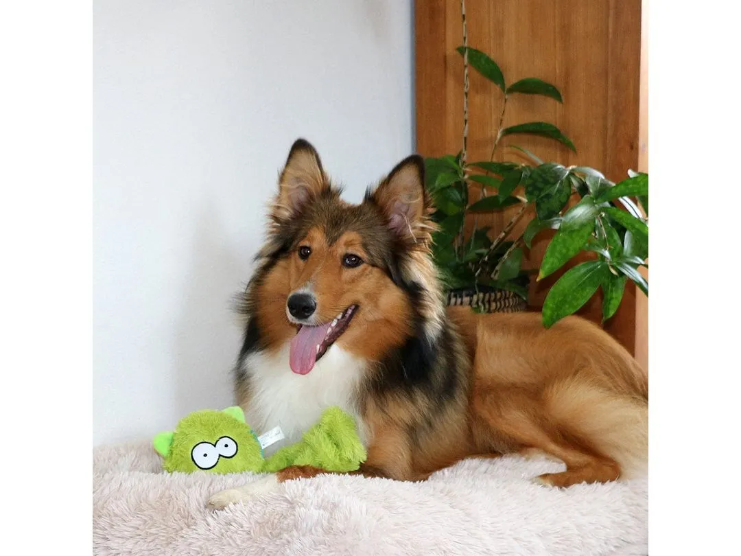 Coockoo Alvin dog toy 23x9x9cm mixed colors Pets Qatar