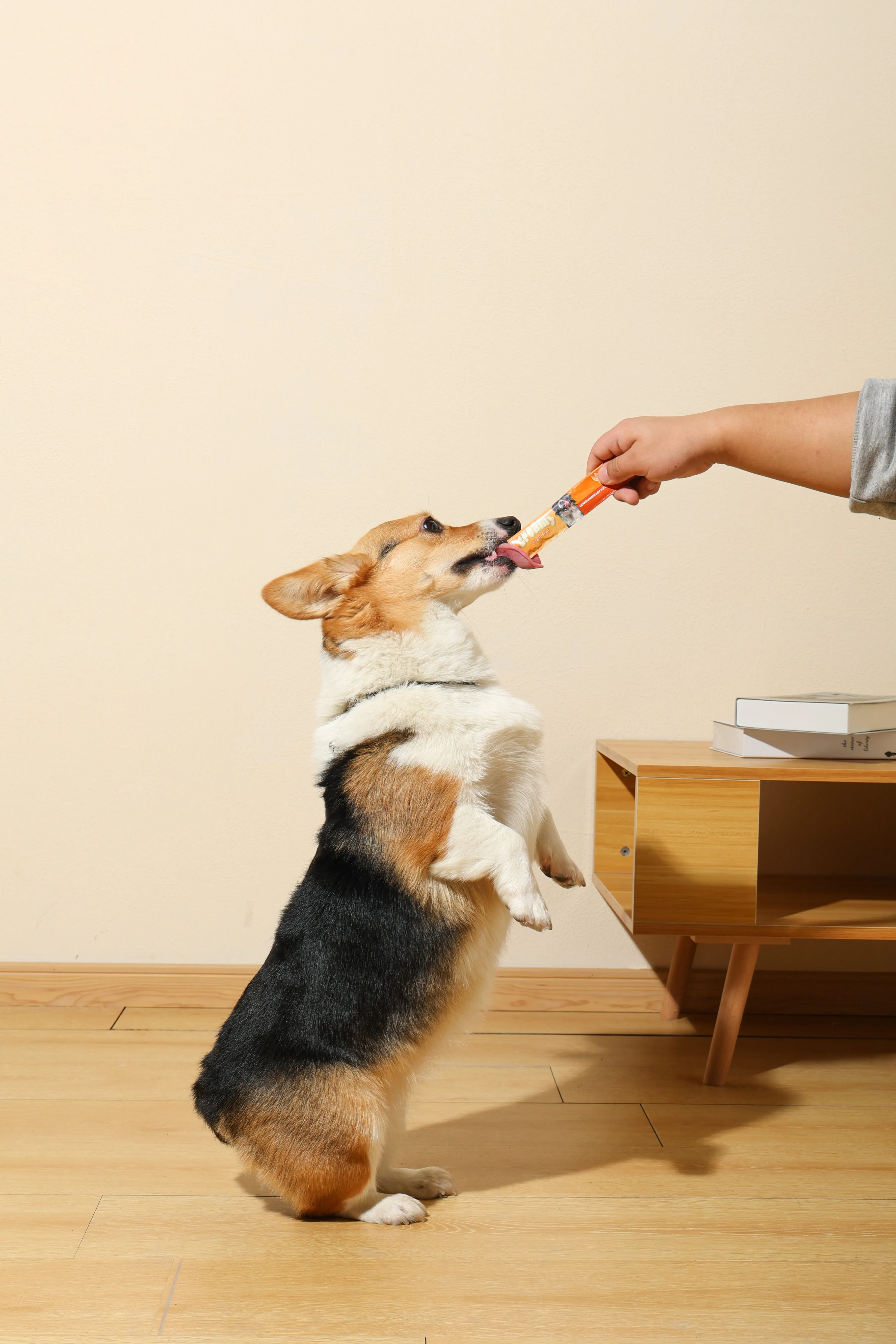 Creamy Treats for Dogs - Chicken