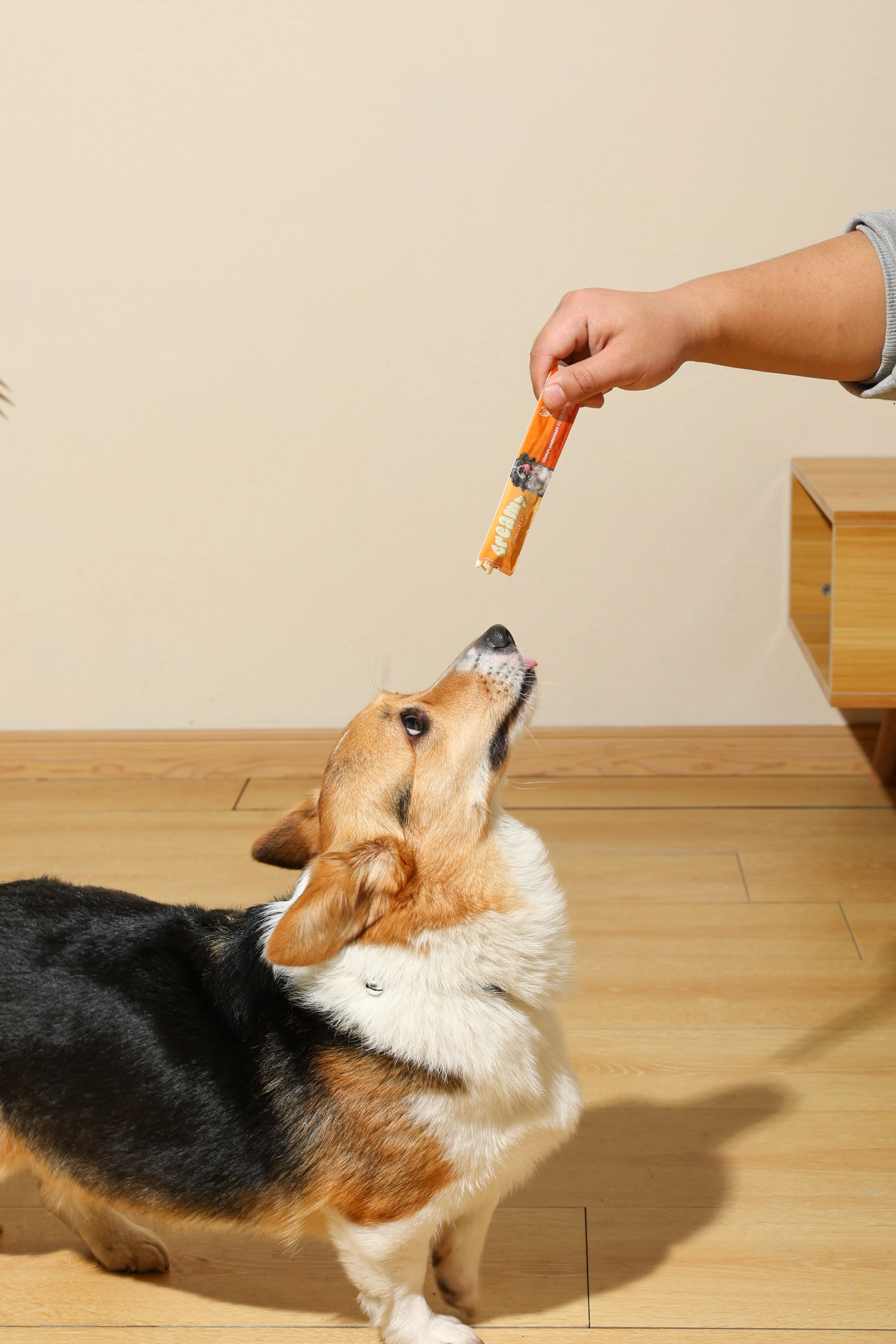 Creamy Treats for Dogs - Chicken