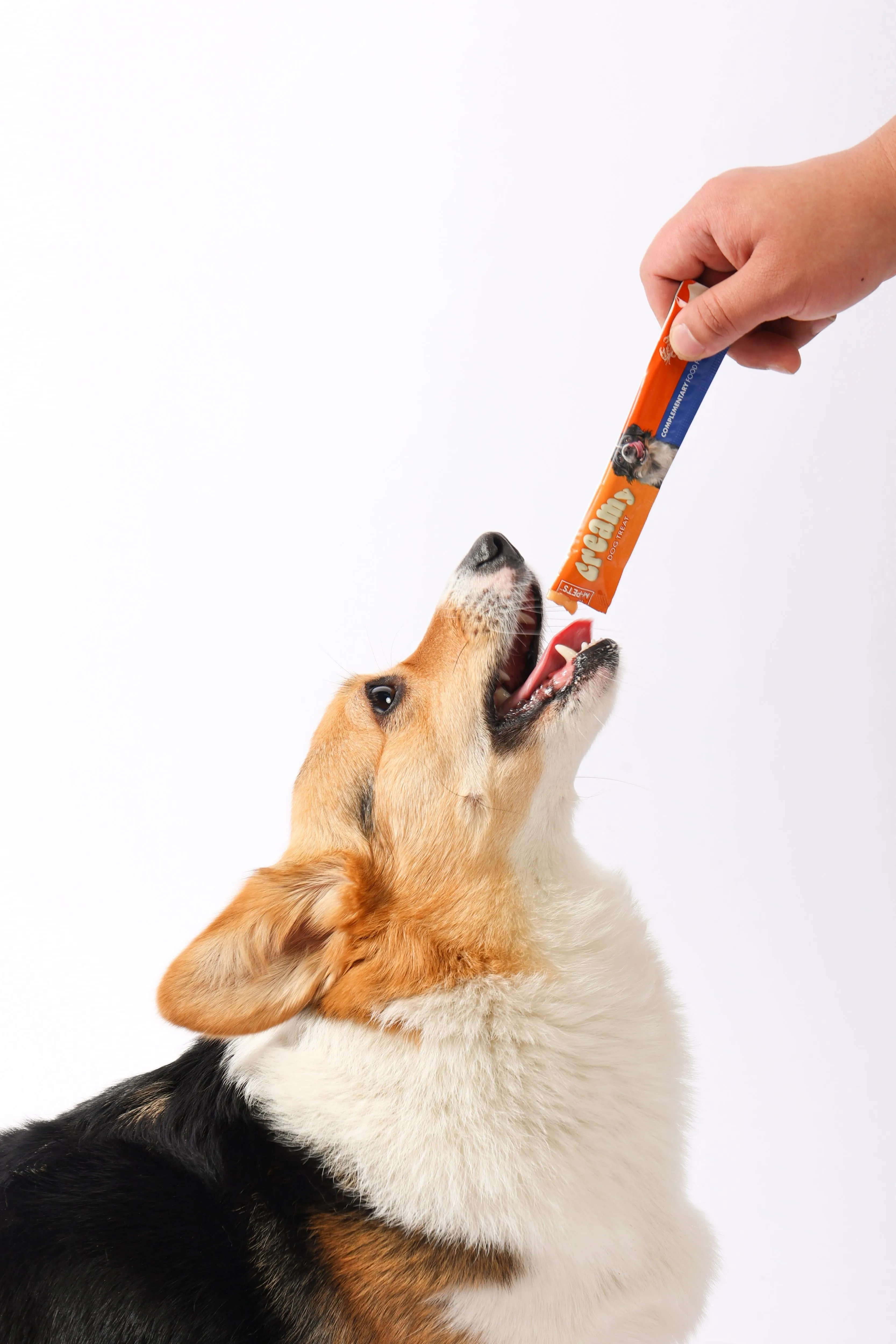 Creamy Treats for Dogs - Crab
