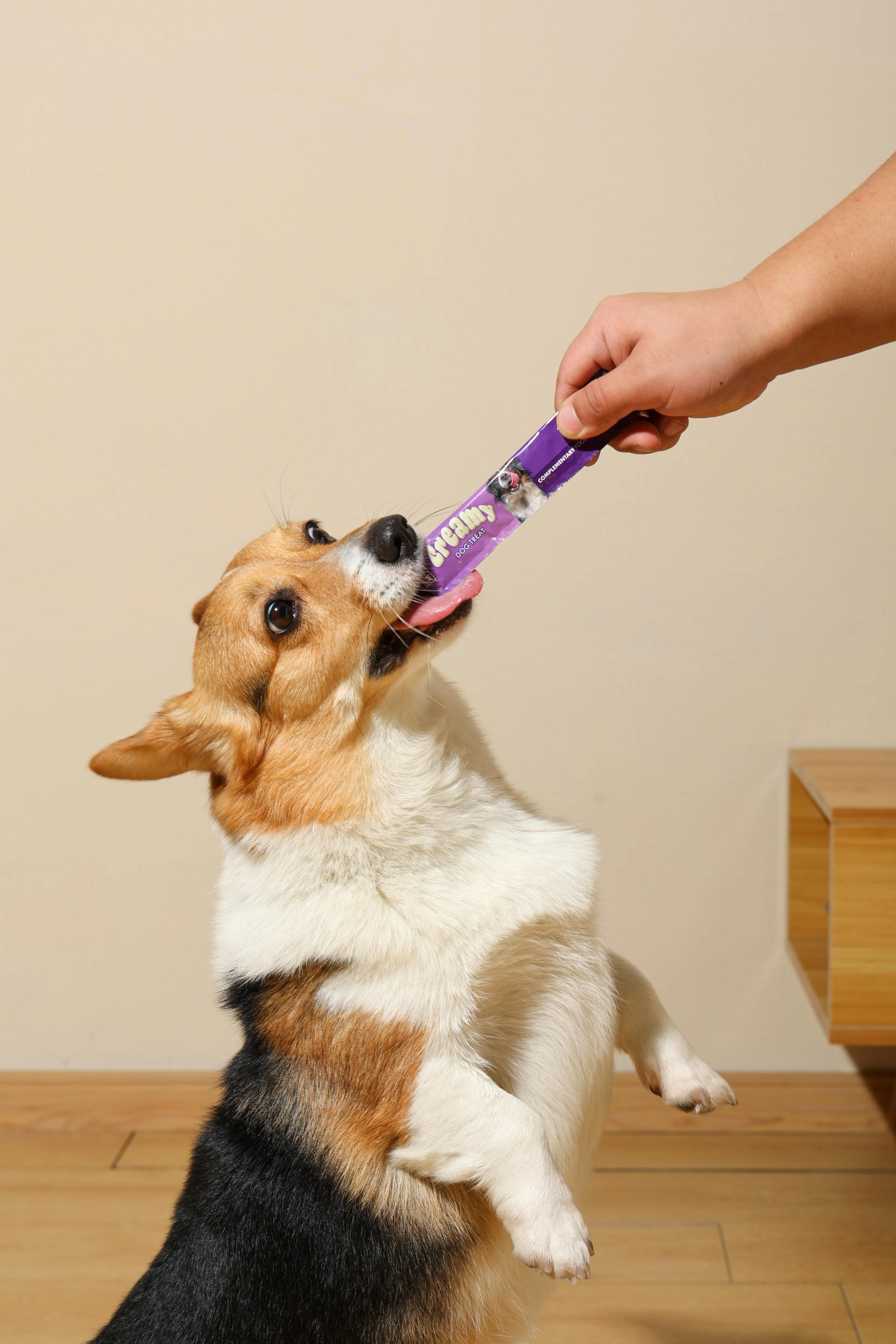 Creamy Treats for Dogs - Tuna