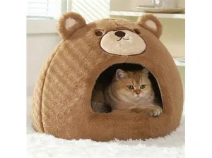 Curry Bear Yurt Pets Qatar