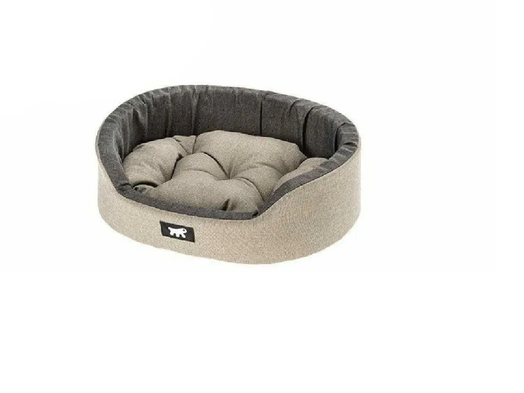 DANDY 55 CUS.AZZURRO-LILLA-MAR Pets Qatar