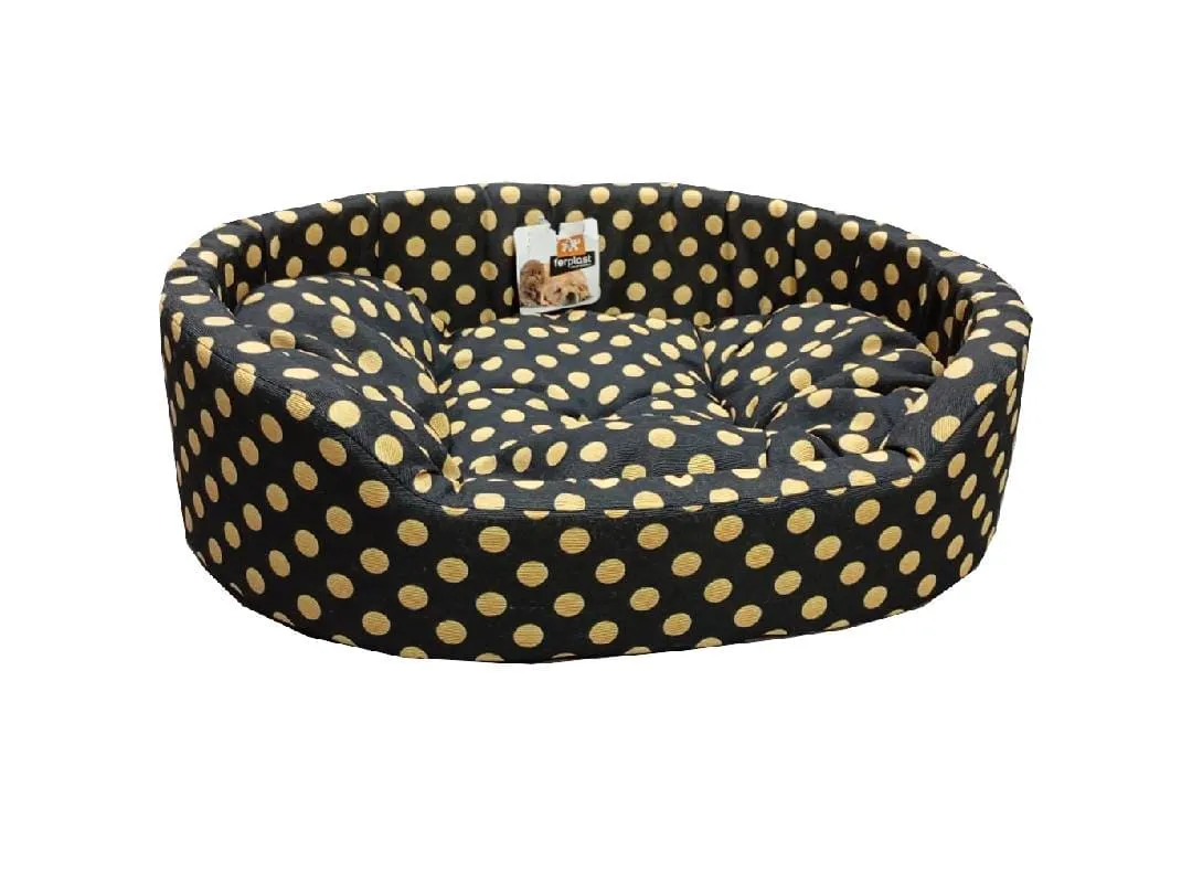 Dandy 55 Cus.C Pois-Righe Pets Qatar
