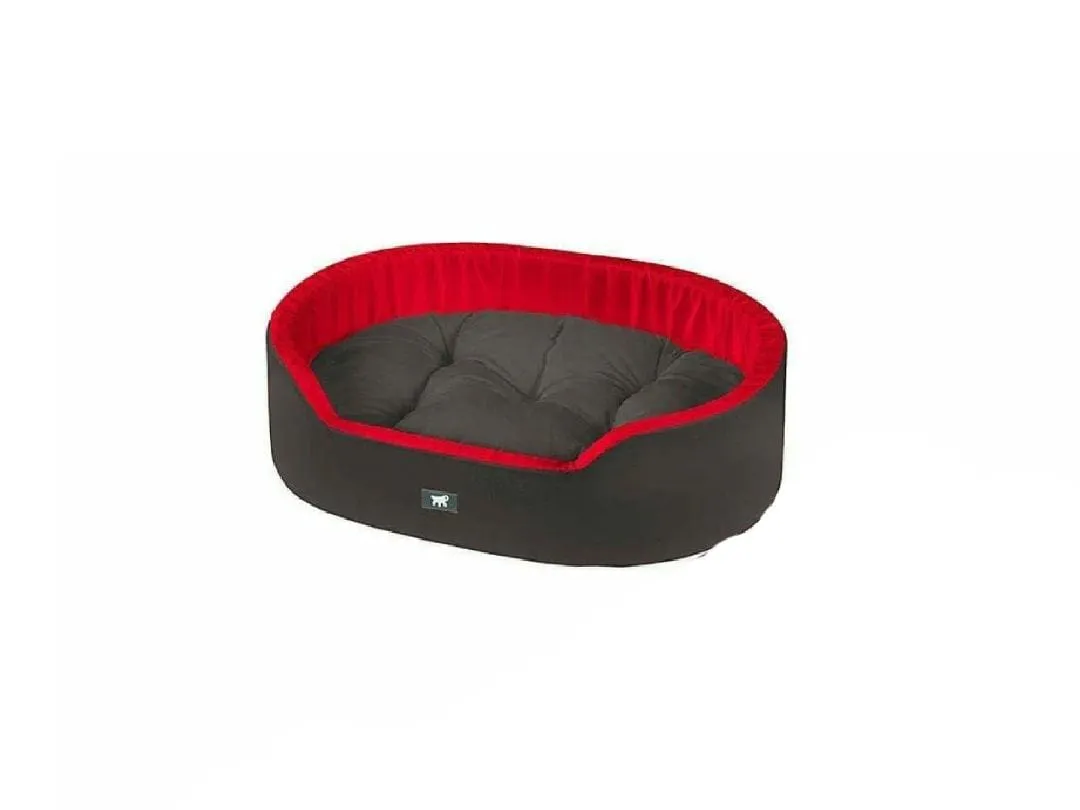 DANDY 65 CUS. BLU-ROSSO-VIOLA Pets Qatar