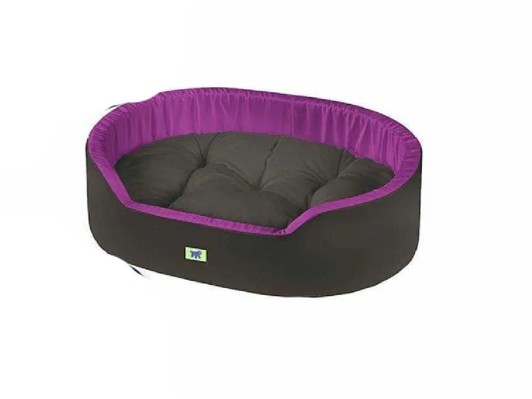 DANDY 65 CUS. BLU-ROSSO-VIOLA Pets Qatar