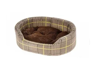 DANDY 65 P C. GALLES GREEN-RED Pets Qatar