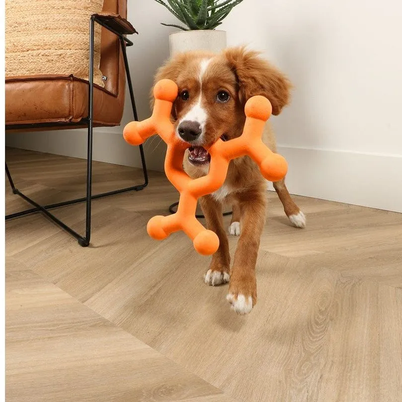 Dawg Science - Dog Toy Pets Qatar