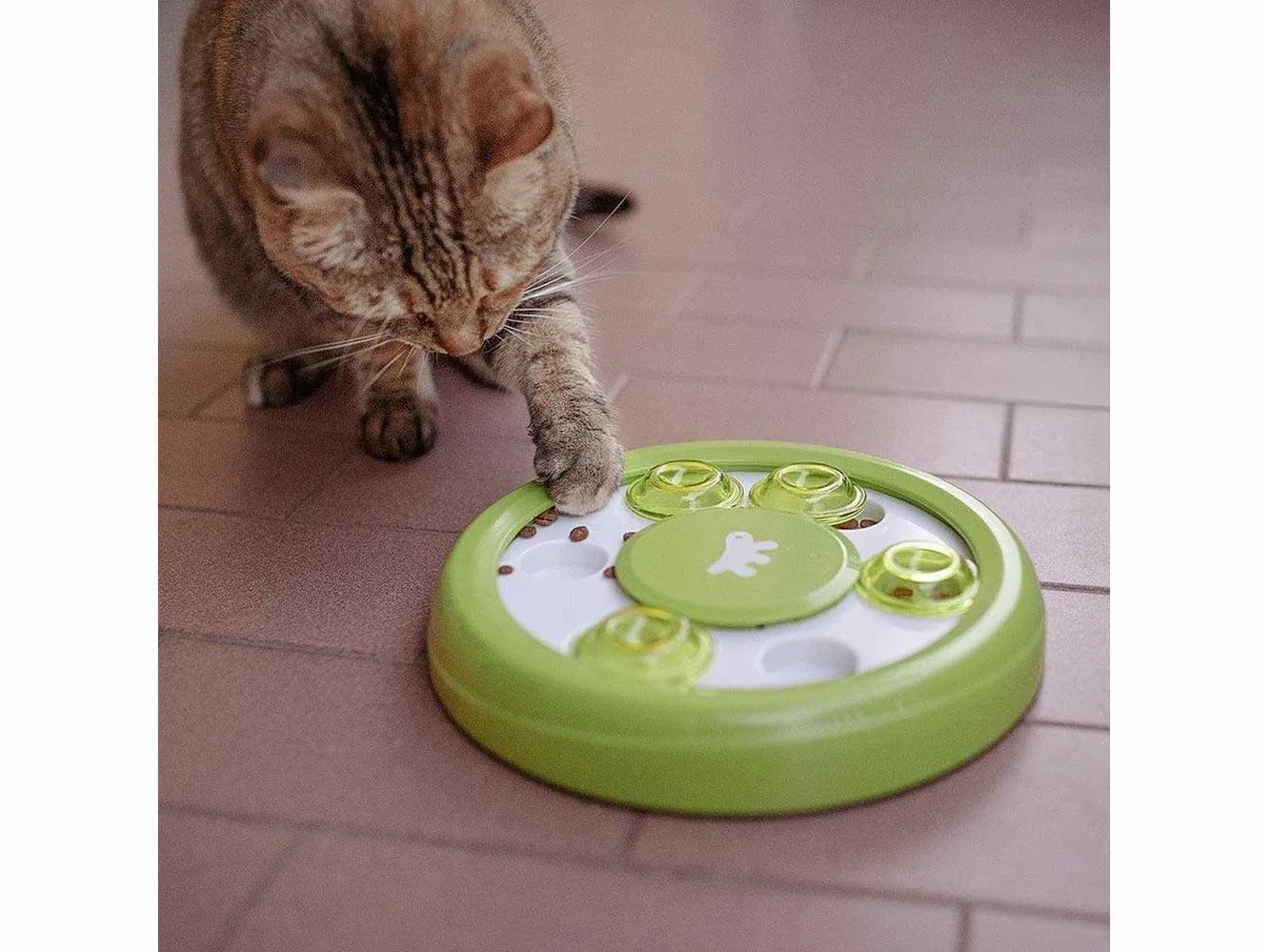 Discover Rotating Game Pets Qatar