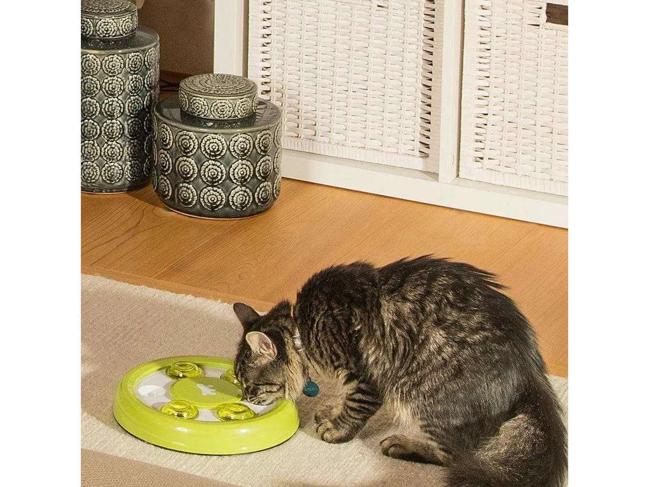 Discover Rotating Game Pets Qatar