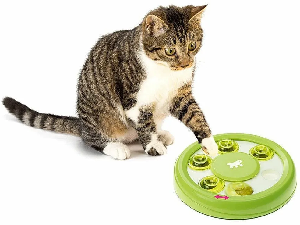 Discover Rotating Game Pets Qatar