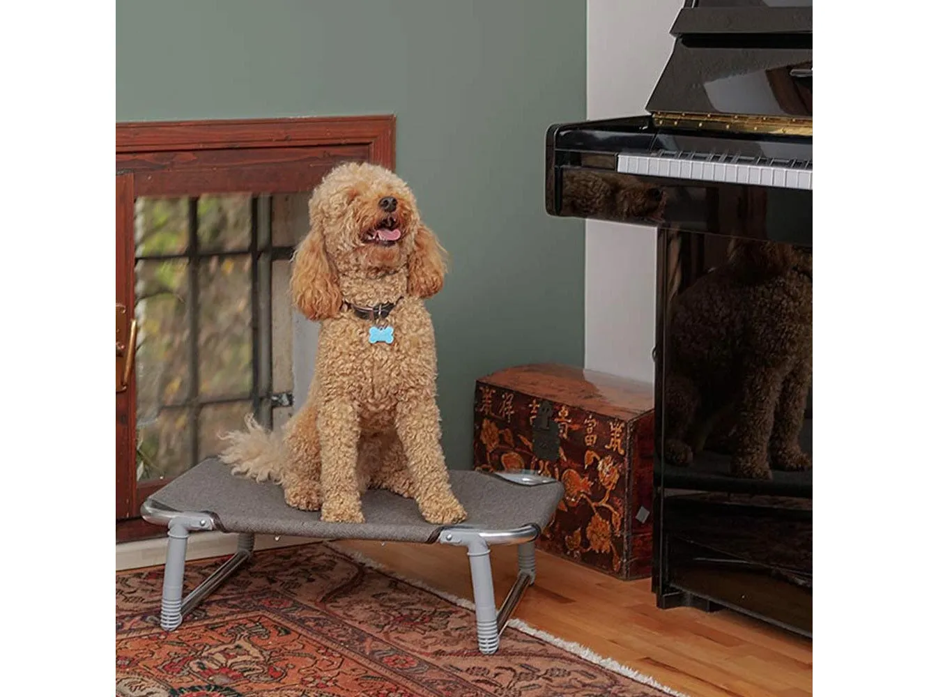 Dog Bed Dream 60 Grey Pets Qatar