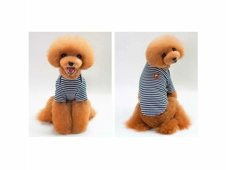 dog clothes Black S KLN-1708BU Pets Qatar