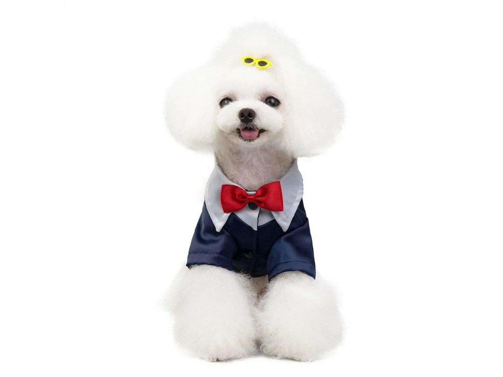 dog clothes blue L 201907015 Pets Qatar