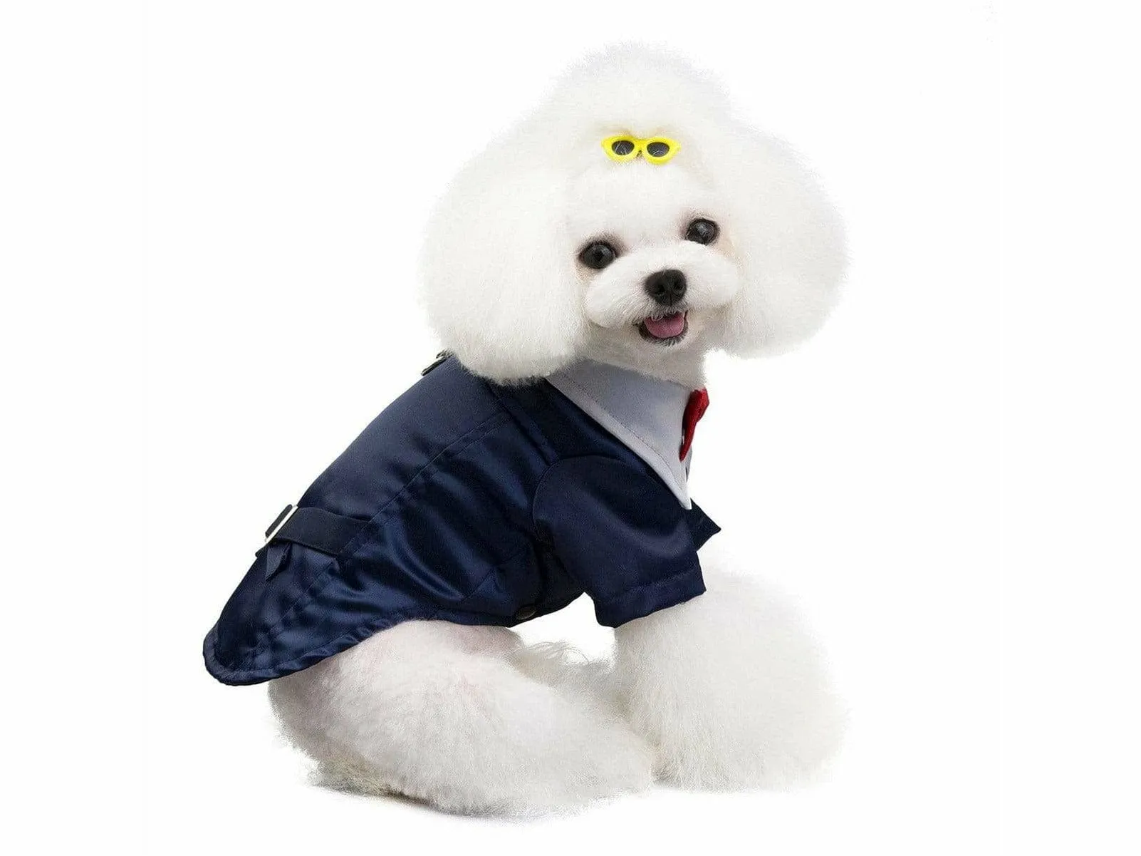 dog clothes blue L 201907015 Pets Qatar