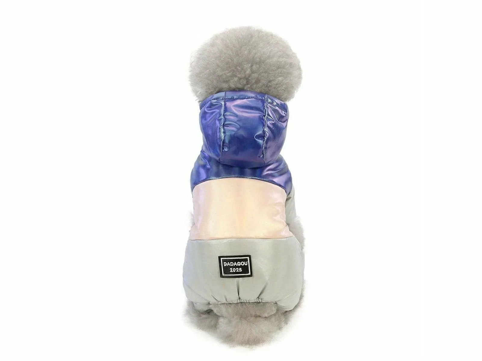 dog clothes Blue M AWYP-6 Pets Qatar