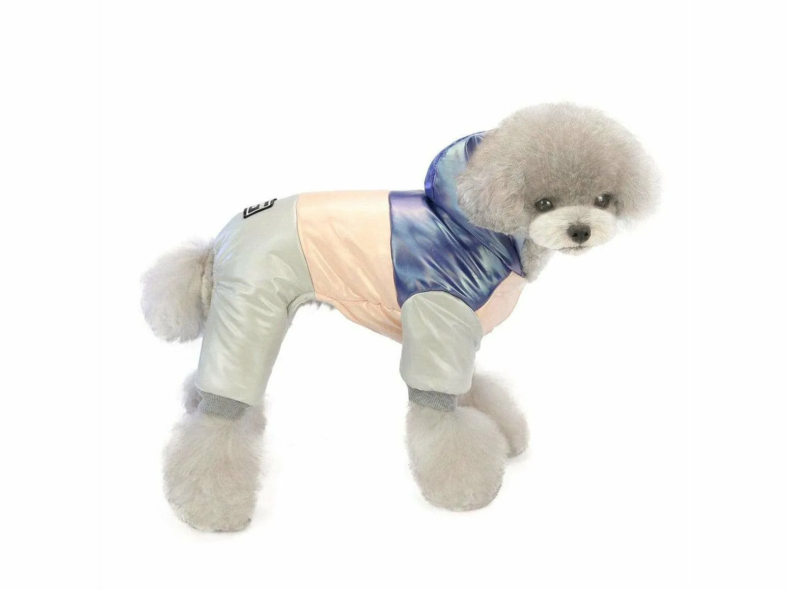 dog clothes Blue M AWYP-6 Pets Qatar