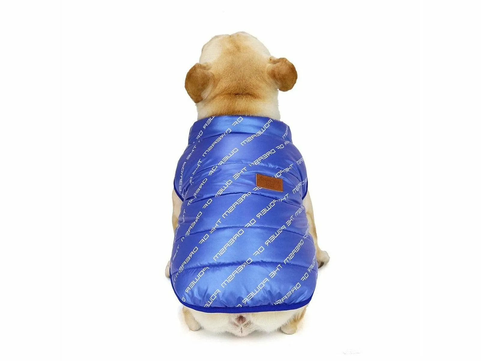 dog clothes Blue  M AWYP-7 Pets Qatar