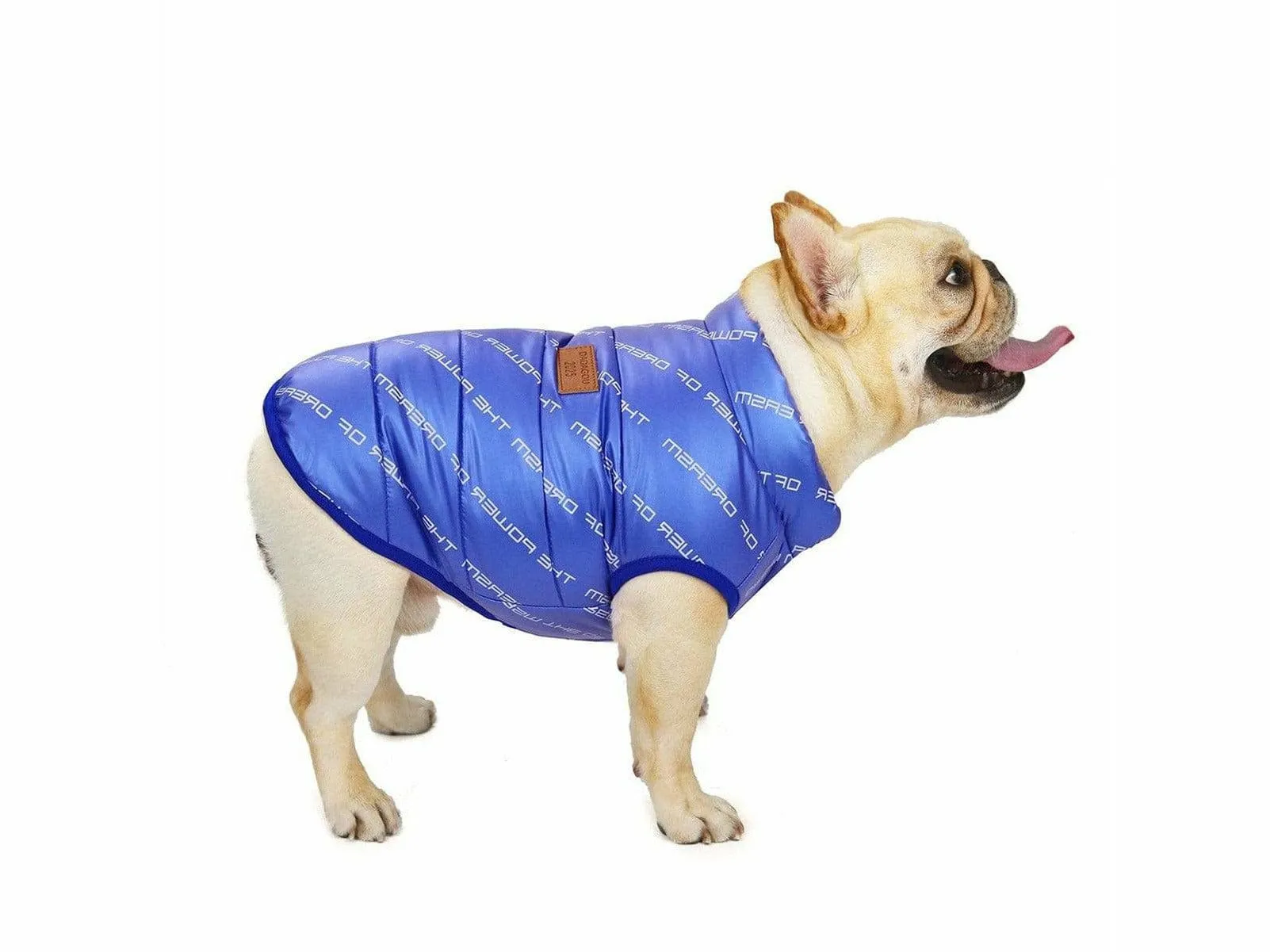 dog clothes Blue  M AWYP-7 Pets Qatar