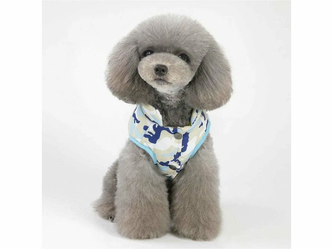 dog clothes blue M YP-201807093 Pets Qatar