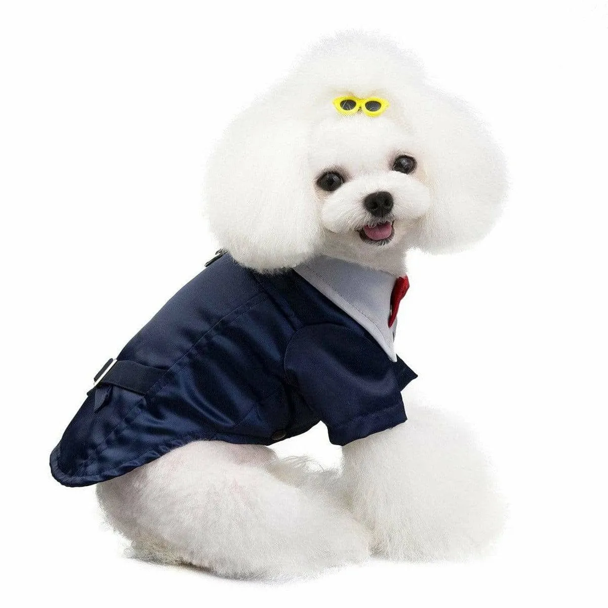 dog clothes blue S 201907015 Pets Qatar