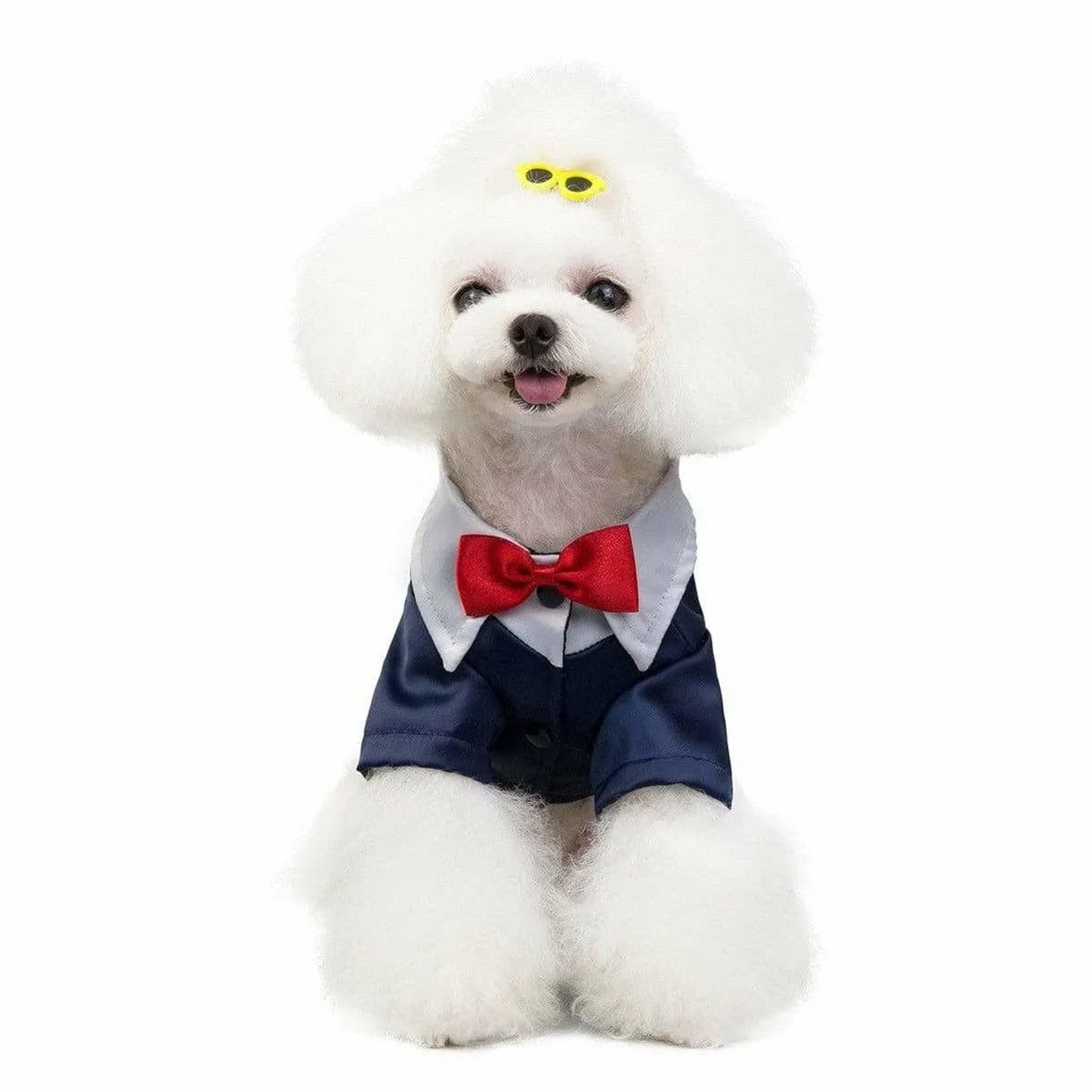 dog clothes blue S 201907015 Pets Qatar