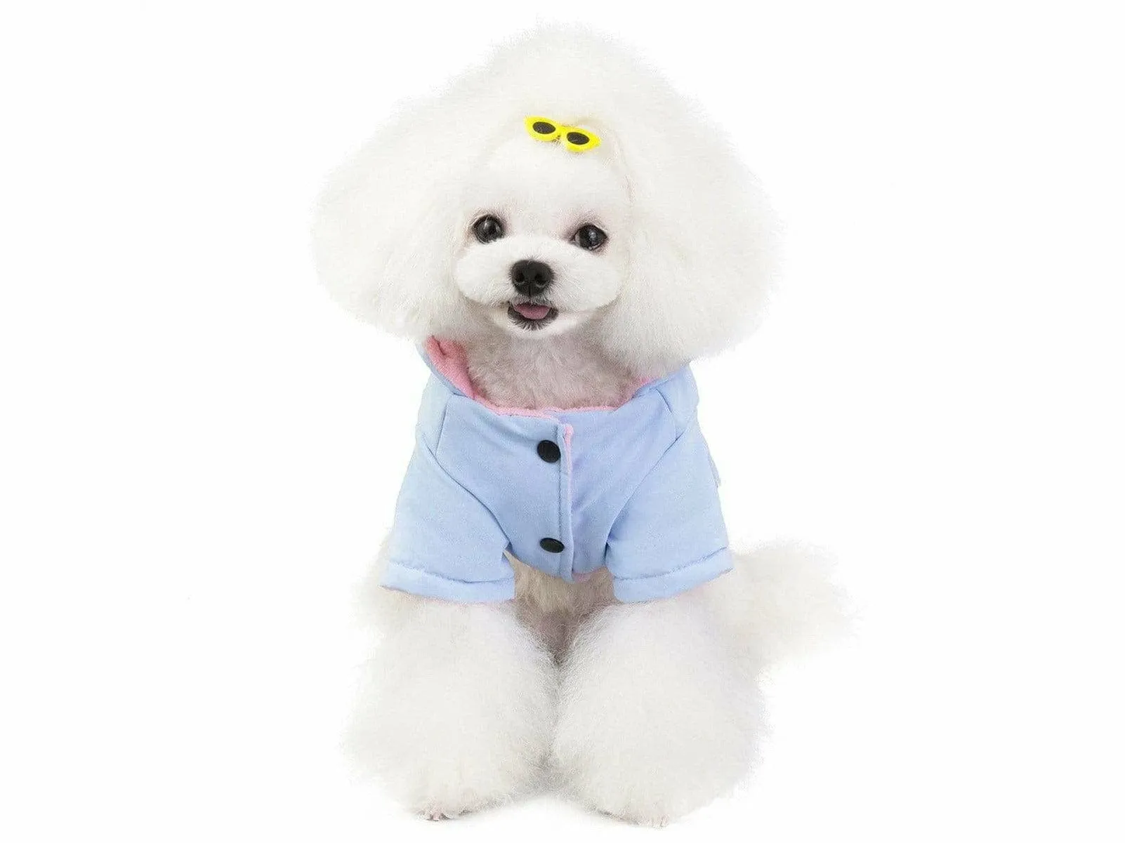 dog clothes blue S 201907026 Pets Qatar