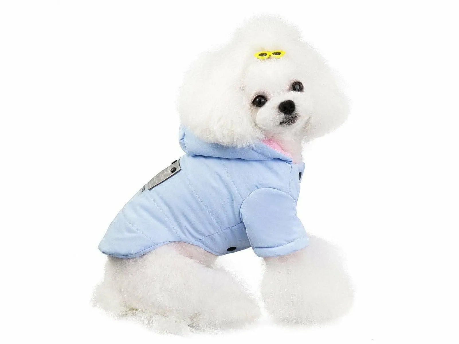 dog clothes blue S 201907026 Pets Qatar