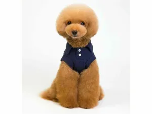 dog clothes Blue S KLN-201846 Pets Qatar