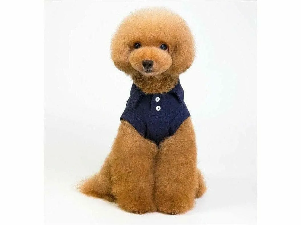 dog clothes Blue S KLN-201846 Pets Qatar