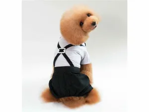 dog clothes Blue white S XZ001 Pets Qatar