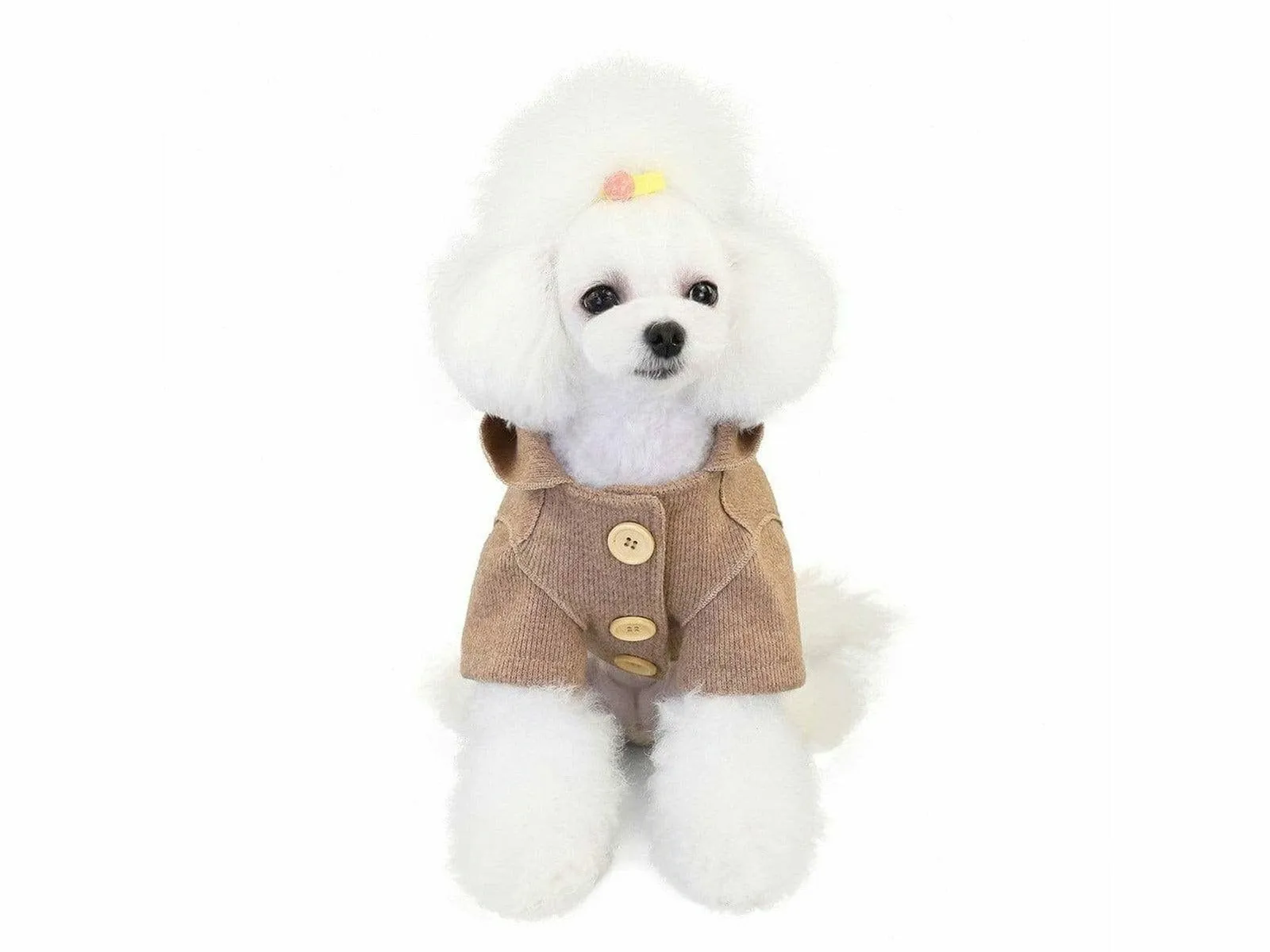 dog clothes Brown L YP-200704 Pets Qatar