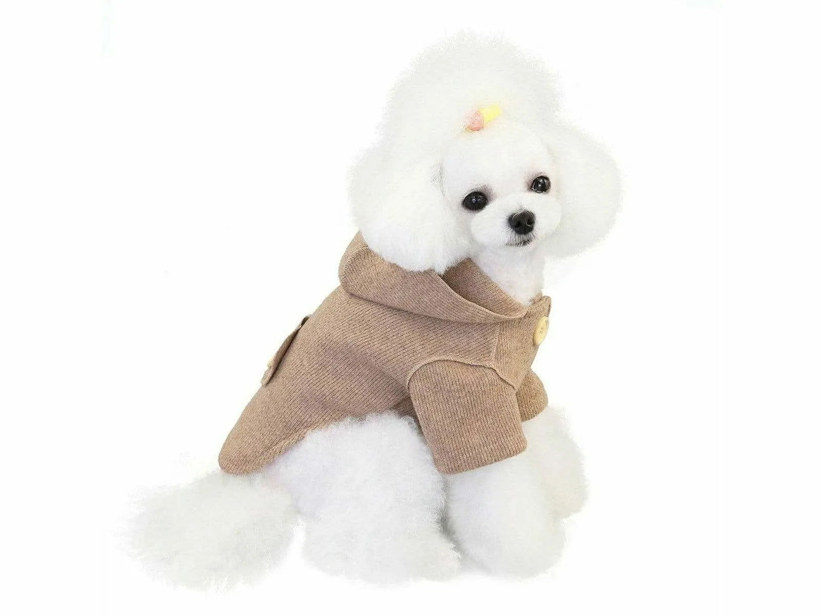dog clothes Brown L YP-200704 Pets Qatar