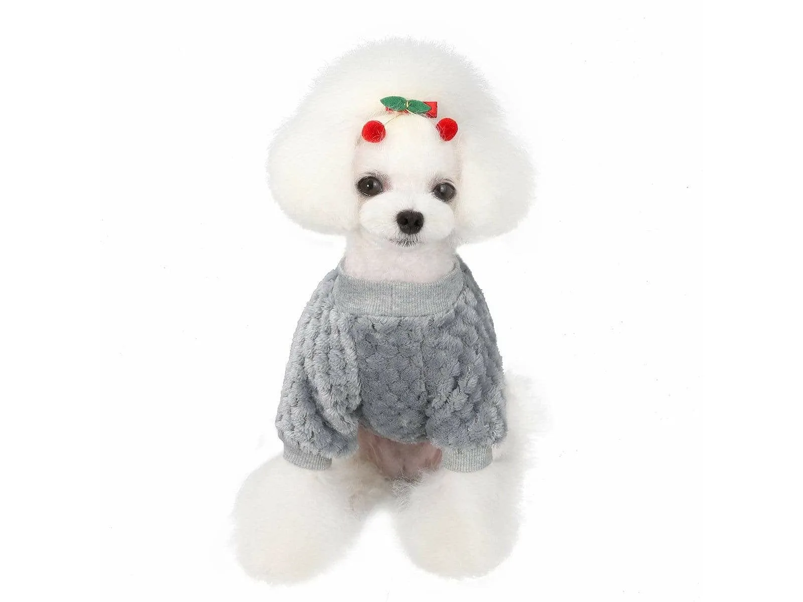 dog clothes Grey L AWYP-202001 Pets Qatar