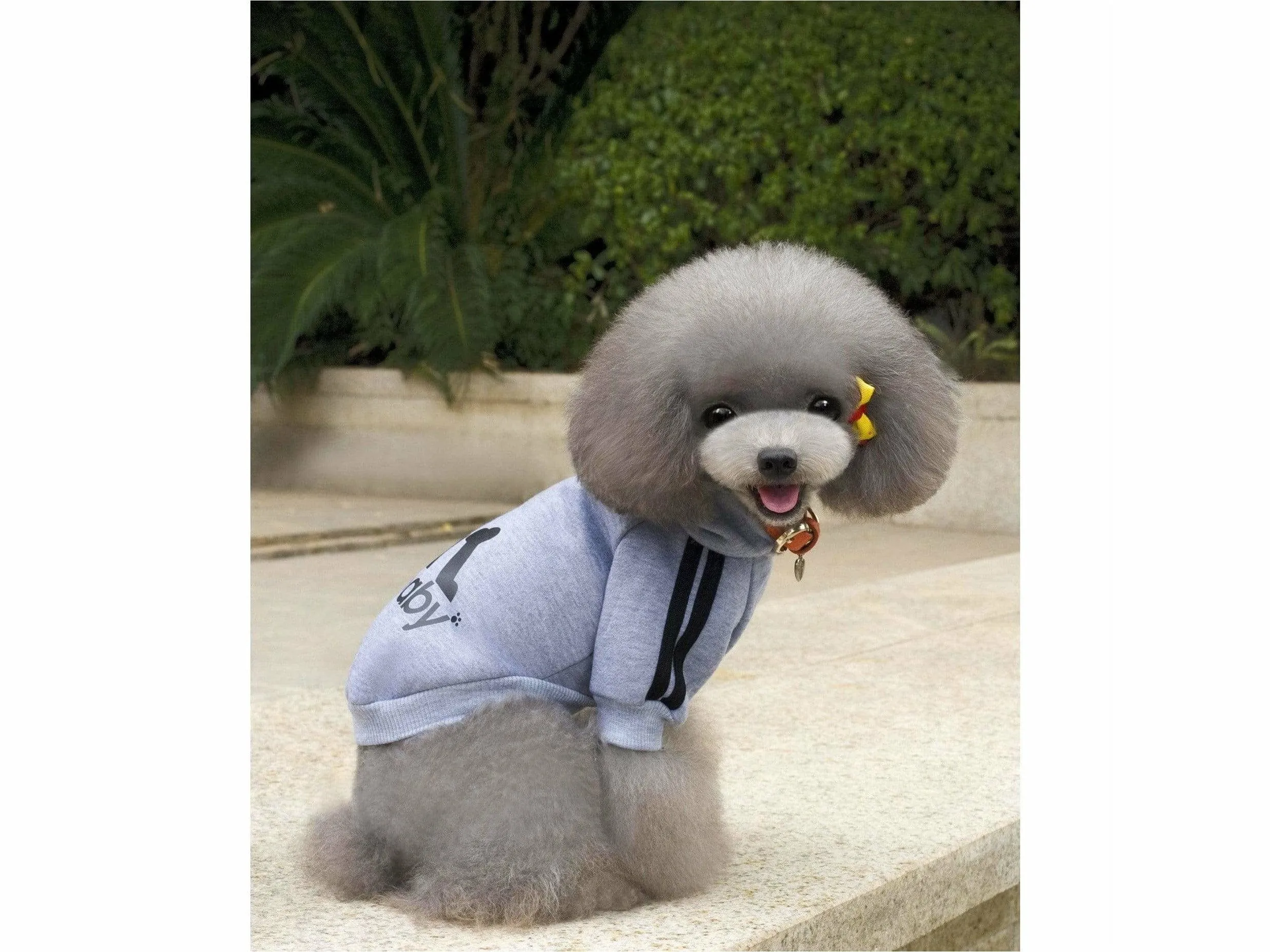 dog clothes Grey S L-82 Pets Qatar