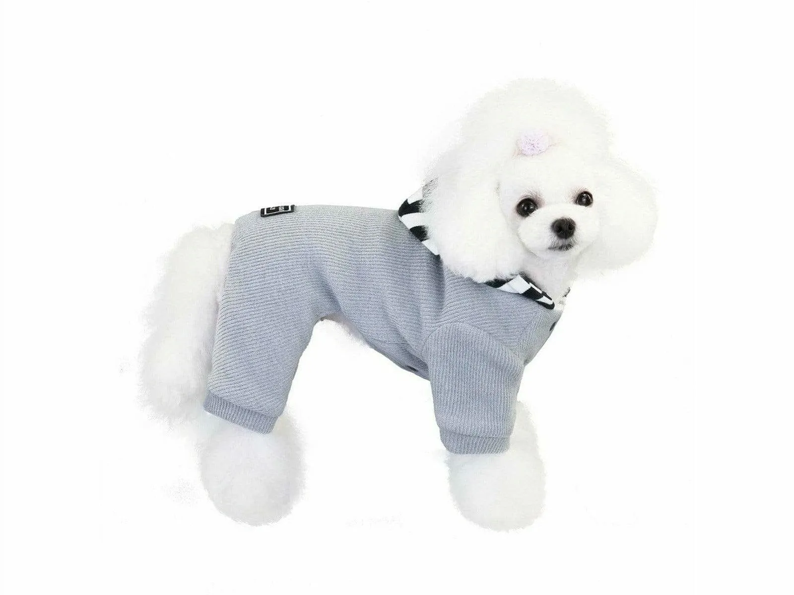 dog clothes GREY  S YP-200716 Pets Qatar