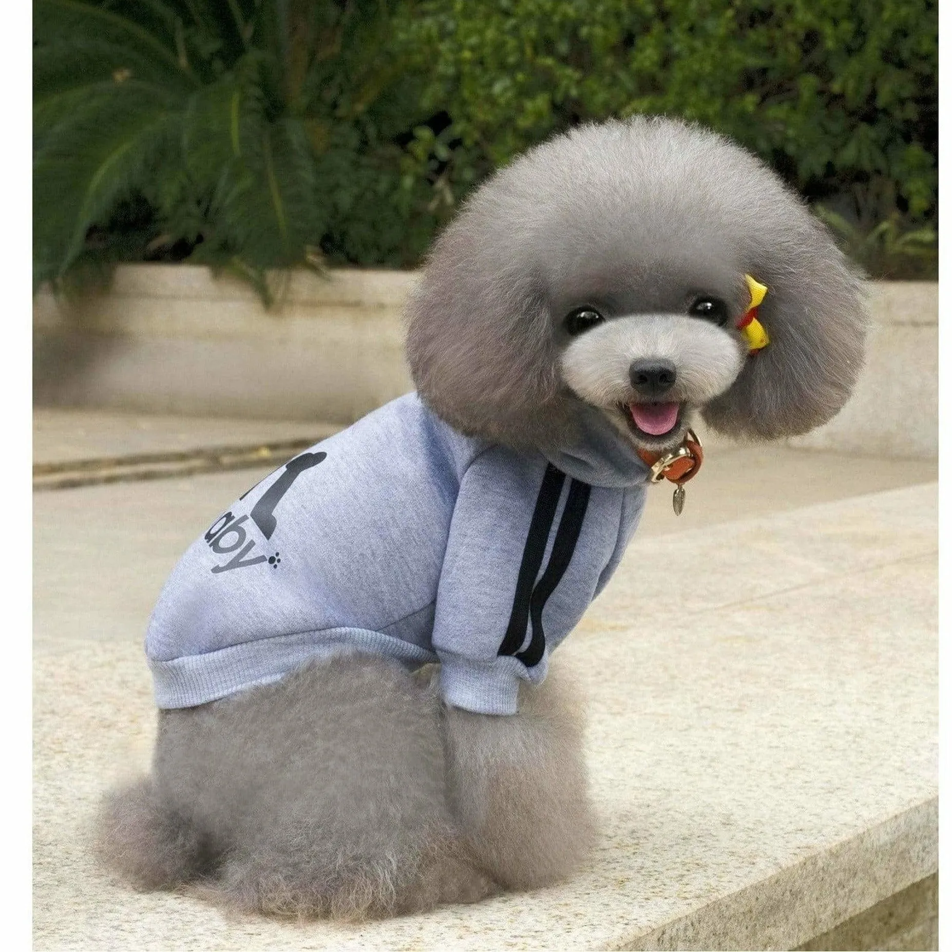 dog clothes Grey XS L-82 Pets Qatar