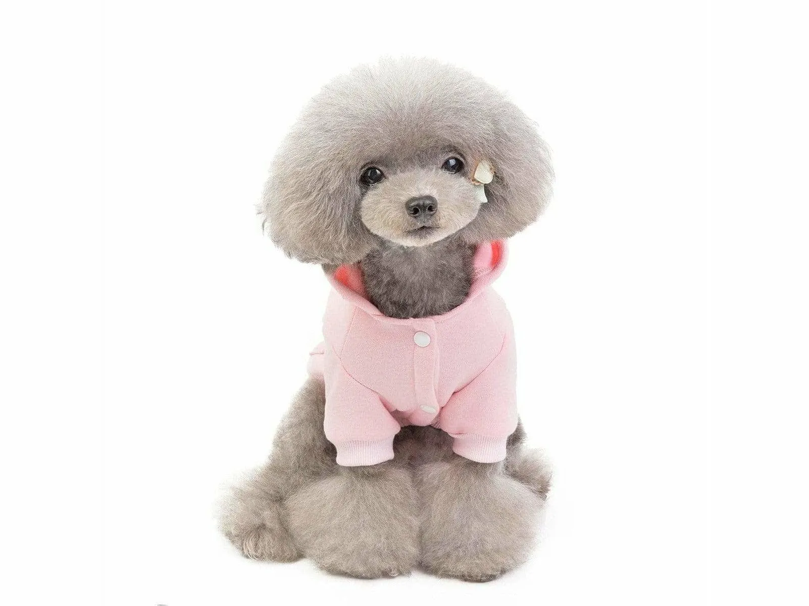 dog clothes Pink M 201907013 Pets Qatar