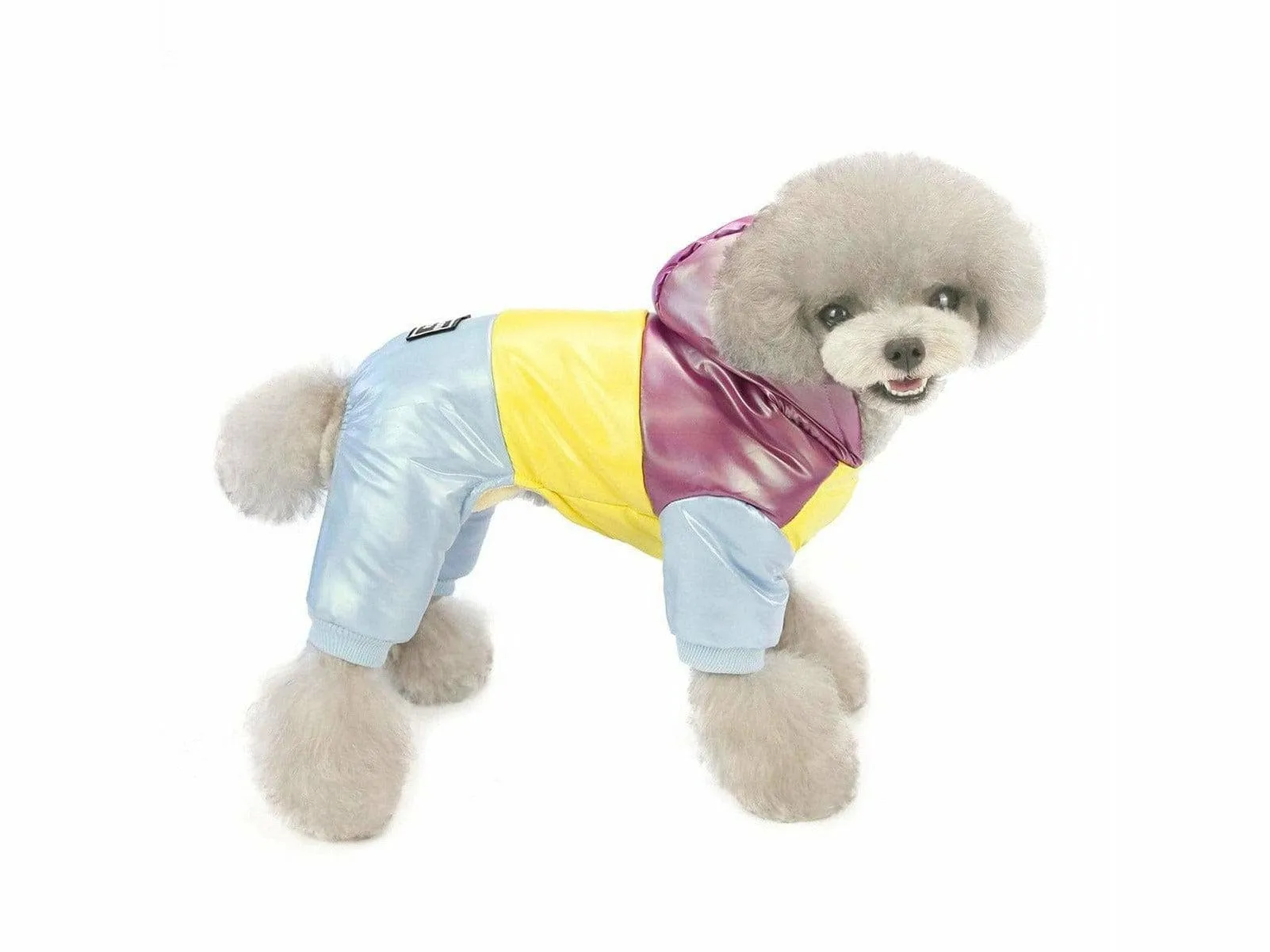 dog clothes Purple S AWYP-6 Pets Qatar