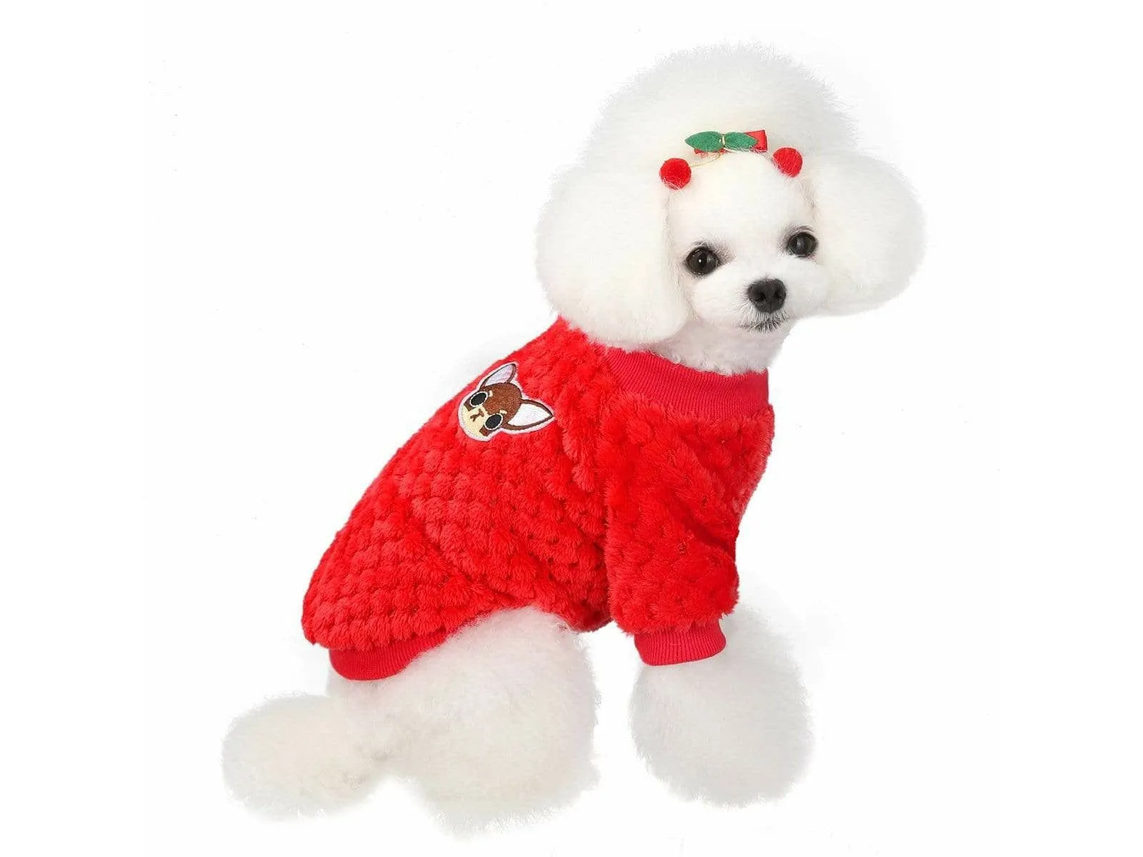 dog clothes Red L AWYP-202001 Pets Qatar