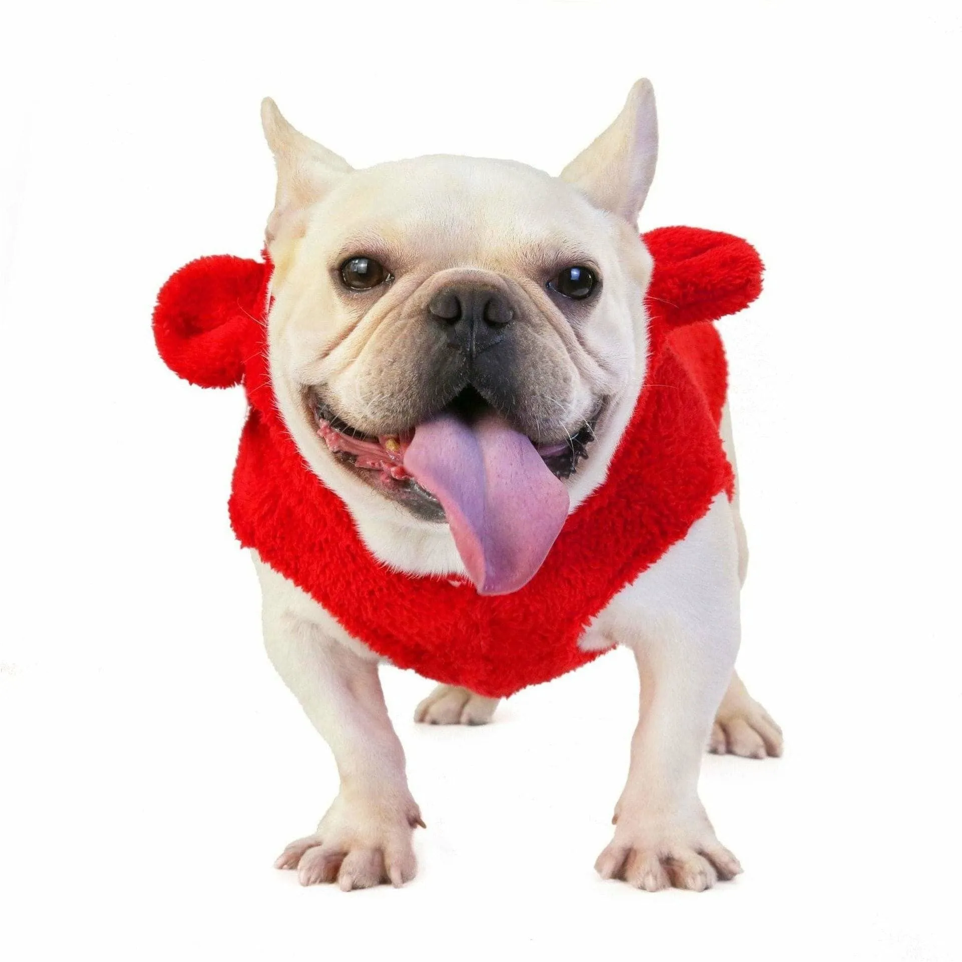 dog clothes Red S KLN-1726 Pets Qatar