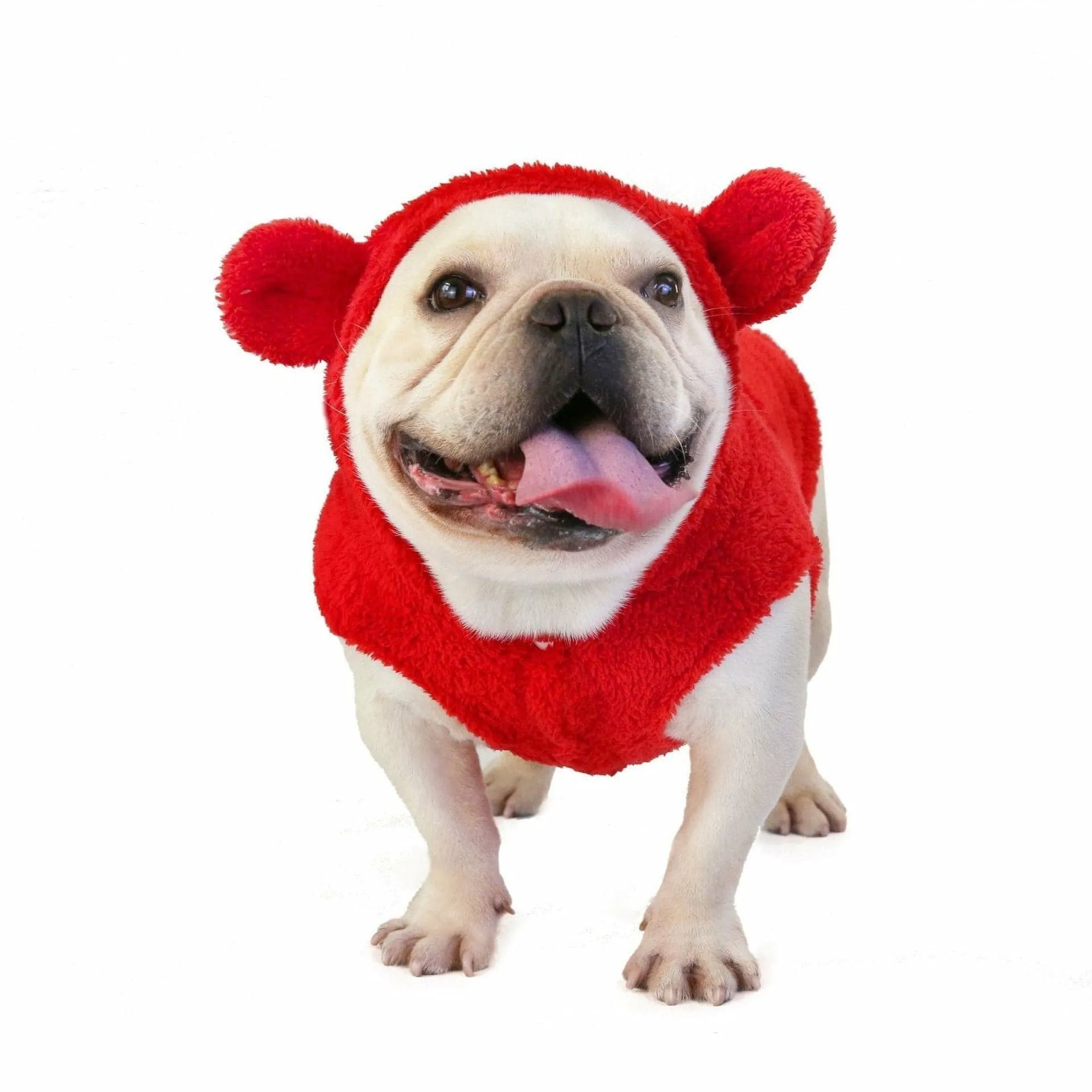 dog clothes Red S KLN-1726 Pets Qatar