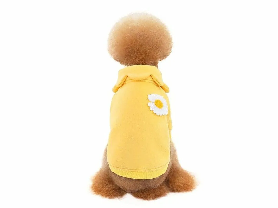 dog clothes Yellow L KLN20014 Pets Qatar
