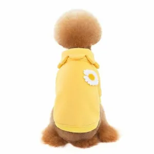 dog clothes Yellow M KLN20014 Pets Qatar