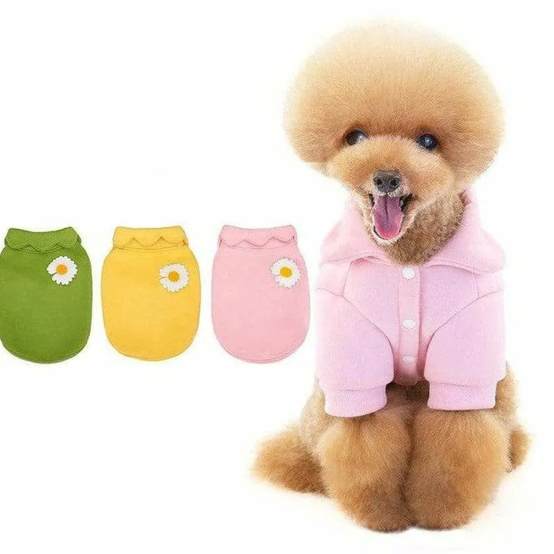 dog clothes Yellow M KLN20014 Pets Qatar